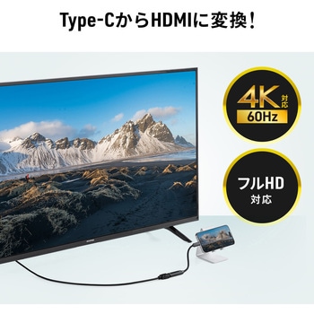 USB TypeC変換ケーブル USB TypeC-HDMI サンワダイレクト