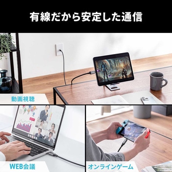 LANケーブル CAT6 USB TypeC変換 サンワダイレクト