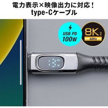 USB TypeCケーブル USB 20Gbps PD100W対応 サンワダイレクト