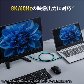 USB TypeCケーブル USB 20Gbps PD100W対応 サンワダイレクト