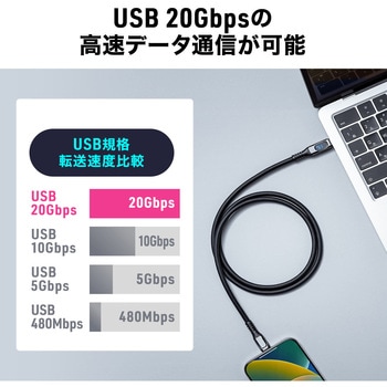 USB TypeCケーブル USB 20Gbps PD100W対応 サンワダイレクト