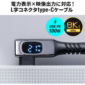 USB TypeCケーブル USB 20Gbps PD100W対応 サンワダイレクト