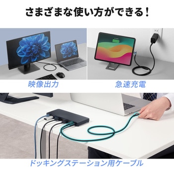 USB TypeCケーブル USB 20Gbps PD100W対応 サンワダイレクト