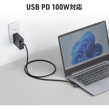 USB TypeCケーブル USB 20Gbps PD100W対応 サンワダイレクト