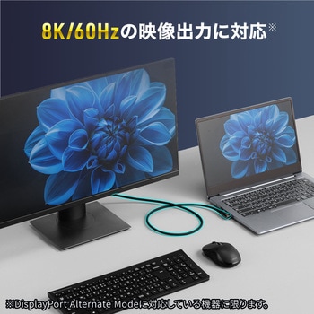 USB TypeCケーブル USB 20Gbps PD100W対応 サンワダイレクト