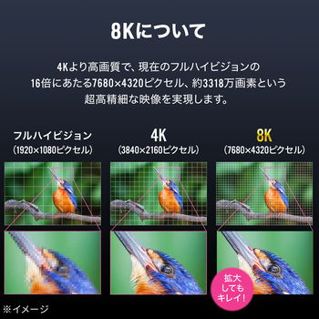 USB TypeCケーブル USB 20Gbps PD100W対応 サンワダイレクト
