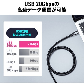 USB TypeCケーブル USB 20Gbps PD100W対応 サンワダイレクト
