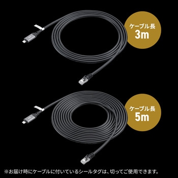 LANケーブル CAT6 USB TypeC変換 サンワダイレクト