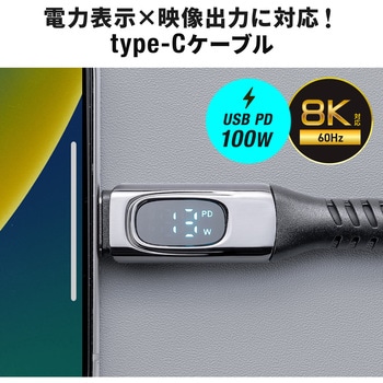 USB TypeCケーブル USB 20Gbps PD100W対応 サンワダイレクト