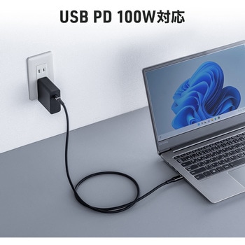 USB TypeCケーブル USB 20Gbps PD100W対応 サンワダイレクト