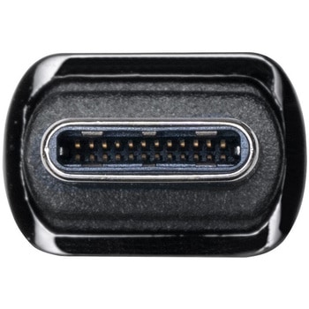 USB TypeCケーブル USB 20Gbps PD100W対応 サンワダイレクト