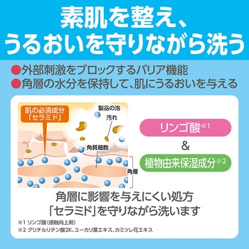 ソフティ 泡のヘッド&ボディ - 花王