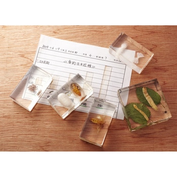 FRP透明注型用樹脂 PROST's