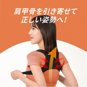 背中のミカタ 姿勢サポーター 男女兼用 アルインコ