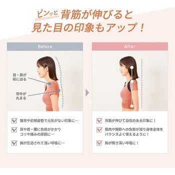 背中のミカタ 姿勢サポーター 男女兼用 アルインコ