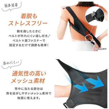背中のミカタ 姿勢サポーター 男女兼用 アルインコ