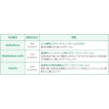 マキシマ歯ブラシ LION(ライオン)