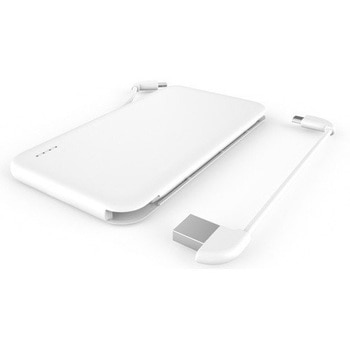 Lightning&microUSBケーブル 一体型充電器/5000mAh セレン