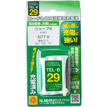 コードレス電話機用充電池 800mAh オーム電機