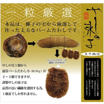 やしの束子 ワイズ