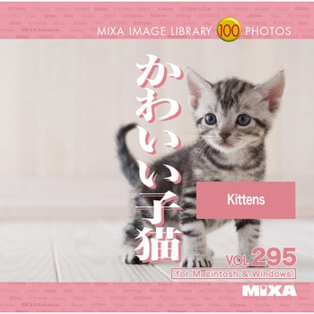 MIXA IMAGE LIBRARY Vol.295 かわいい子猫 ソースネクスト