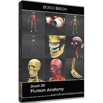 セール ふるさと割 DOSCH 3D: Human Anatomy