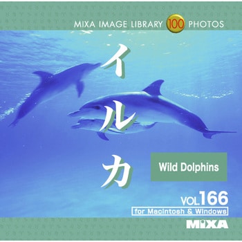 225940 MIXA IMAGE LIBRARY Vol.166 イルカ 1個 ソースネクスト 【通販