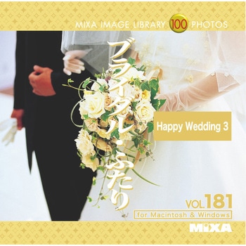MIXA IMAGE LIBRARY Vol.181 ブライダル・ふたり ソースネクスト