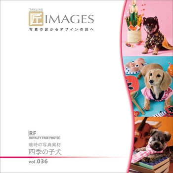 匠IMAGES Vol.036 歳時の写真素材 四季の子犬 ソースネクスト