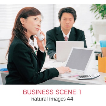 natural images Vol.44 BUSINESS SCENE 1 ソースネクスト