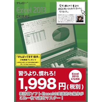 ナレロー Excel 13 実践編 ナレロー パソコン学習ソフト 通販モノタロウ N11 62