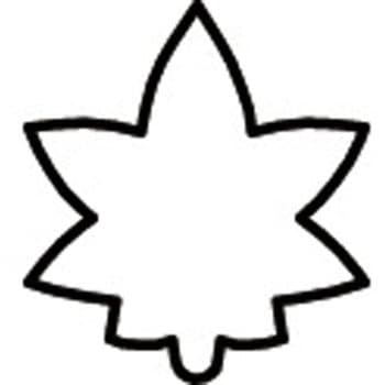 たかもりの生抜 たかもり