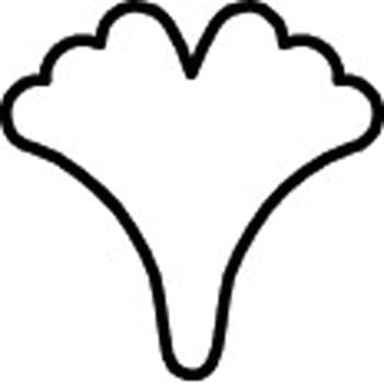 たかもりの生抜 たかもり