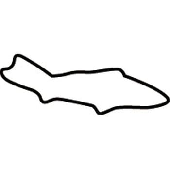 たかもりの生抜 たかもり