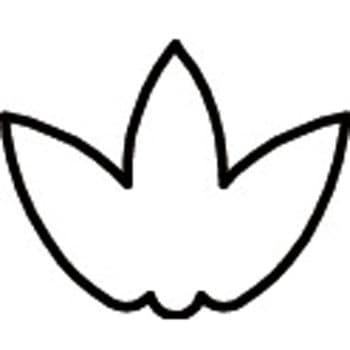 たかもりの生抜 たかもり