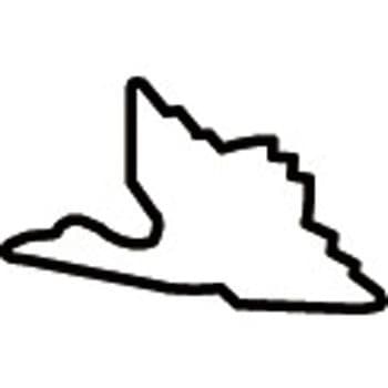 たかもりの生抜 たかもり