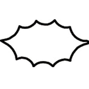たかもりの生抜 たかもり