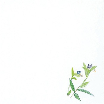 C30-394 �ϖ����~ �}�C�� 46686545