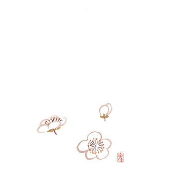耐油懐敷 マイン