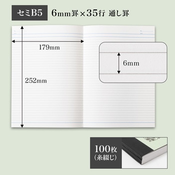 アピカノート セミB5 日本ノート