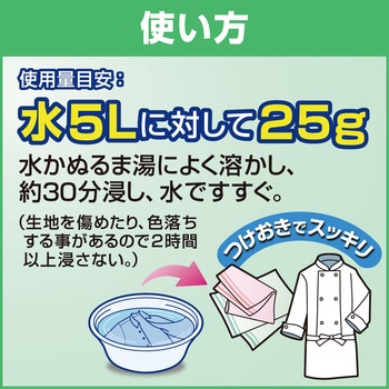 ワイドハイターEXパワー 粉末タイプ 花王