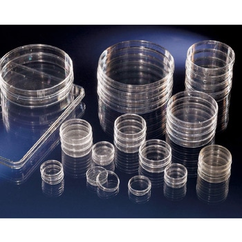 組織培養ペトリディッシュ Thermo Fisher Scientific
