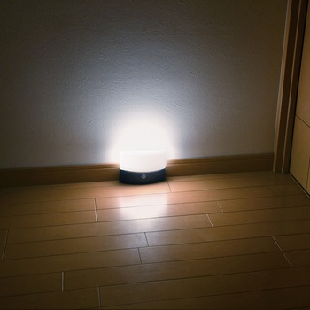 もてなしライト ELPA
