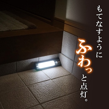 もてなしライト ELPA