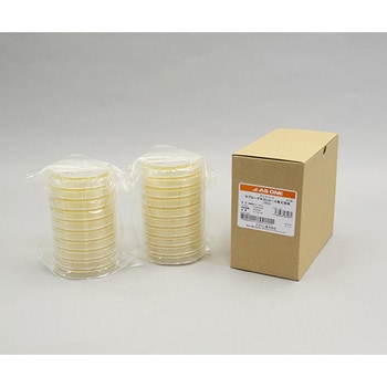 - TjXybN|n AY ۊǊ2`10(①) 46896299