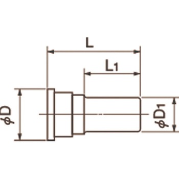 ケミフィット C1シリーズ ブランクプラグ ニッタ