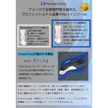 パワーステップ ピナクル 荒川産業