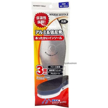 アルミ低反発インソール 不動化学