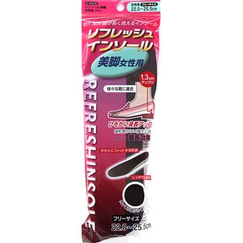 インソール美脚 不動化学
