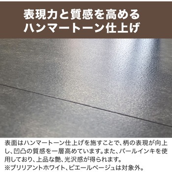 ロパ12 床材 南海プライウッド